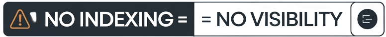 no_indexing__no_visibility_infographic